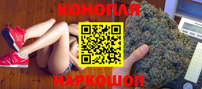 прущие грибы Лесосибирск