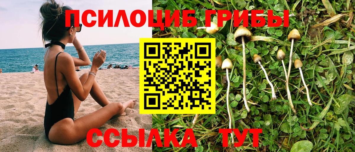 Псилоцибиновые грибы MAGIC MUSHROOMS Калининград