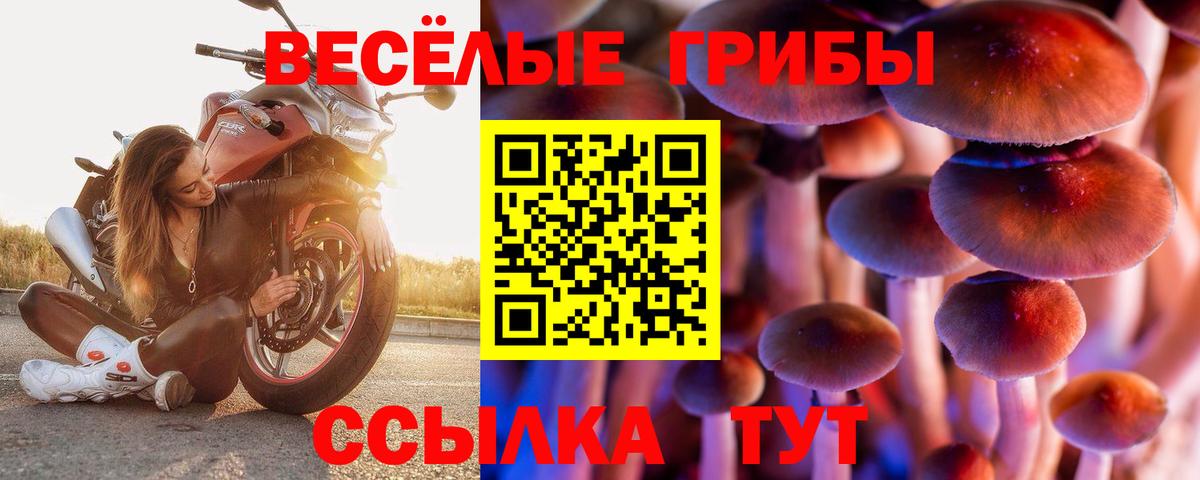 Галлюциногенные грибы мухоморы  Вход с VPN  дарнет шоп  Калининград 